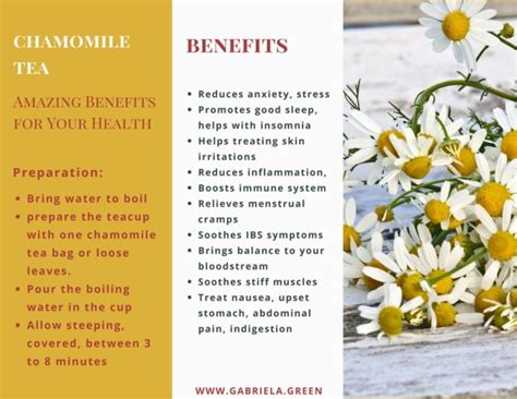 chamomile tea amazing benefits   health gabriela green
