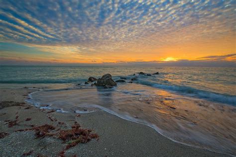 restoring  gulf  mexico ocean conservancy