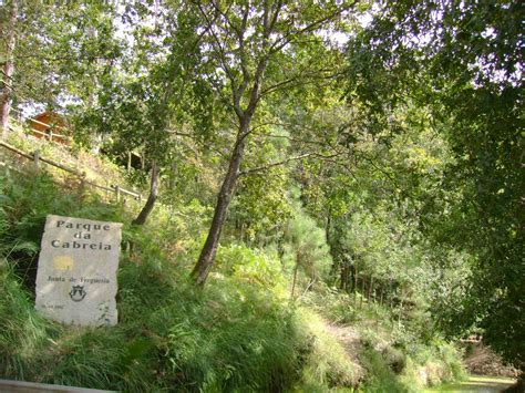 Parque Da Cabreia Sever Do Vouga All About Portugal