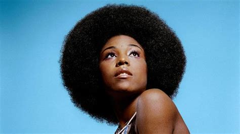 1970s African American Hairstyles