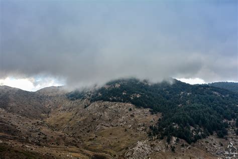 Tikjda - Algeria - Tripcarta