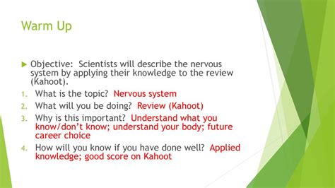 Warm Up Objective Scientists Will Describe The Nervous System By