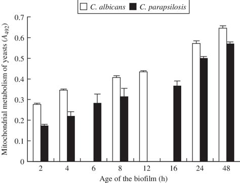 Kinetics Of Maturation Of C Albicans And C Parapsilosis Biofilms On Download Scientific