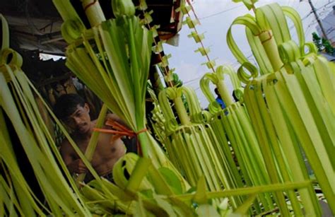 Cara Memanfaatkan Daun Buah Kelapa Hingga Menjadi Rupiah Manfaat Buah