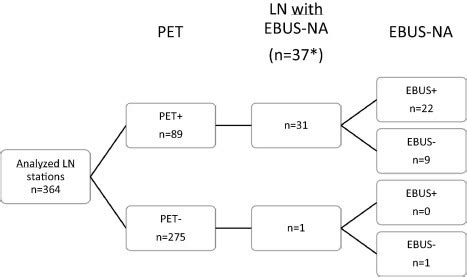 Selective Mediastinal Node Irradiation In Non Small Cell Lung Cancer In