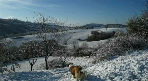 Grande Gelo Sulle Alpi Sugli Appennini L Esperto Di Unicam