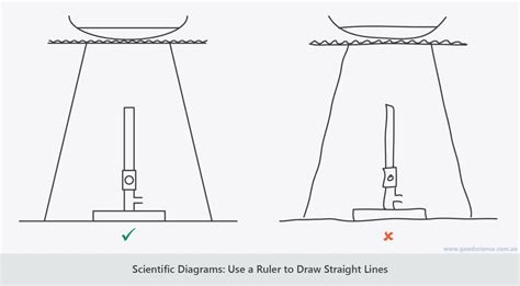 Scientific Diagrams – Charts | Diagrams | Graphs 