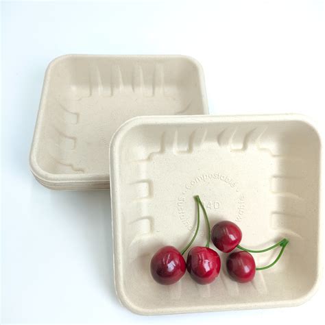 Natural Degradable Square Food Tray Sugarcane Bagasse Reasonable