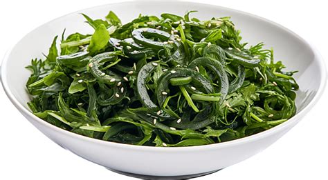 Seaweed Png With Ai Generated 26759283 Png