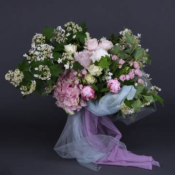 Флористика