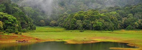 Periyar National Park – Kerala Trip Planner