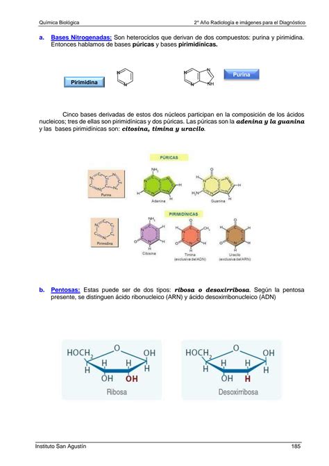 Solution Unidad Cidos Nucleicos Studypool