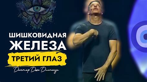 ЭНЕРГИЯ ДЛЯ ЖИЗНИ! ШИШКОВИДНАЯ ЖЕЛЕЗА | ПОЛНОЕ ОБЪЯСНЕНИЕ | ДОКТОР ДЖО ...