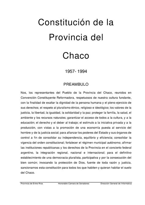 Resumen Constitución Del Chaco Derechos Gobierno Y Educación En