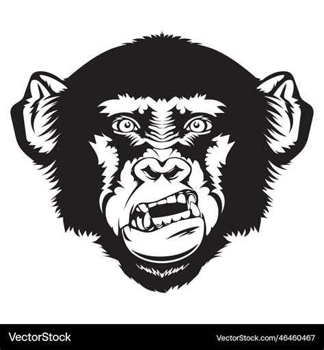 Angry Gorilla Royalty Free Vector Image Vectorstock