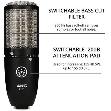Akg p 220 studio – Artofit