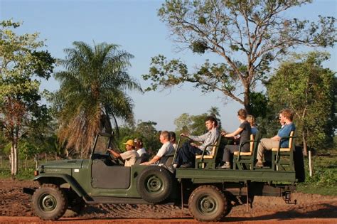 Roteiro Pantanal Completo Dicas do que você precisa saber