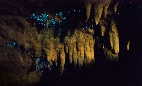 Waipu Caves – Waipu, New Zealand - Atlas Obscura