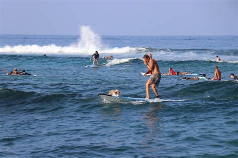 KONA MIKE’S SURF ADVENTURES - Updated April 2024 - 33 Photos & 101 ...