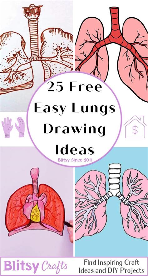 25 Easy Lungs Drawing Ideas - How to Draw Lungs