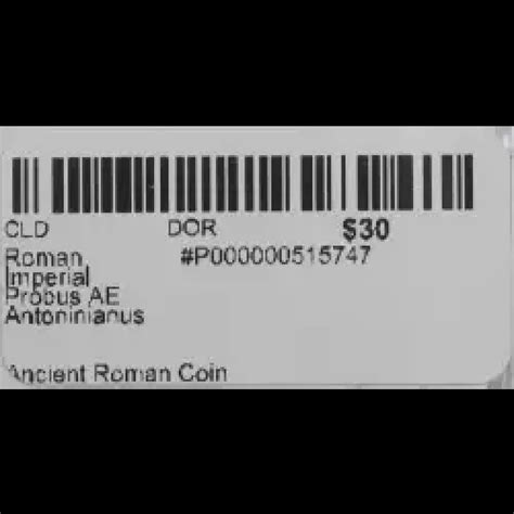 Ancient Roman Coin - Lost Dutchman Rare Coins