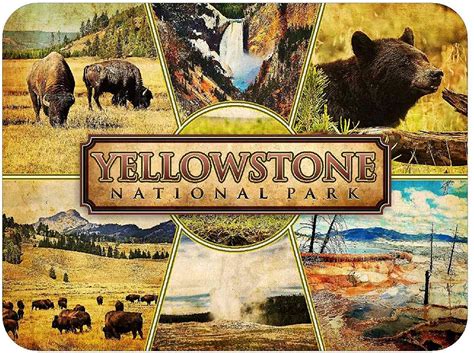 Yellowstone National Park Montage Fridge Magnet