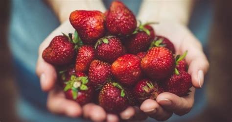 El Gourmet Urbano Comidasaludable Higieneenlacocina Frutas