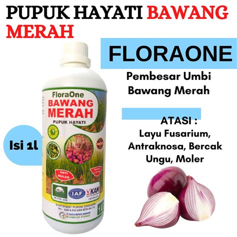 Jual Pupuk Bawang Merah Umur Hari Pupuk Hayati Cegah Layu Fusarium