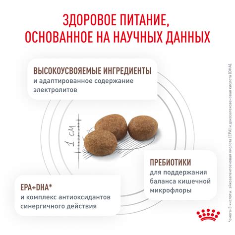 Роял Канин ГАСТРОИНТЕСТИНАЛ лечебный сухой корм для собак, 15кг, ROYAL ...