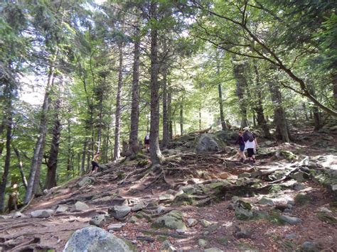 Felsenpfad Col De La Schlucht Frankenthal Le Hohneck Freiweg