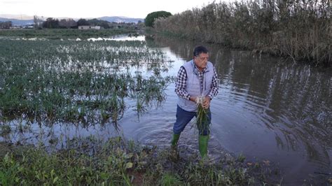 Gav Ltimas Noticias En La Vanguardia