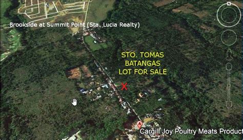 Sto. Tomas Batangas Agricultural Lot For Sale