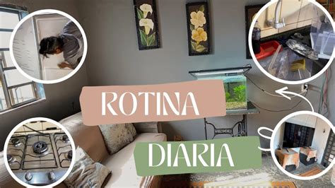 Vlog Rotina De Dona De Casa Limpei A Geladeira Organizei A Sala