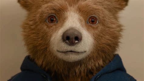 Estrenan Tráiler De Paddington En Perú Esto Se Sabe De La Nueva Entrega