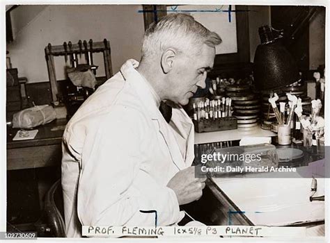 penicillin fleming   premium high res pictures getty images