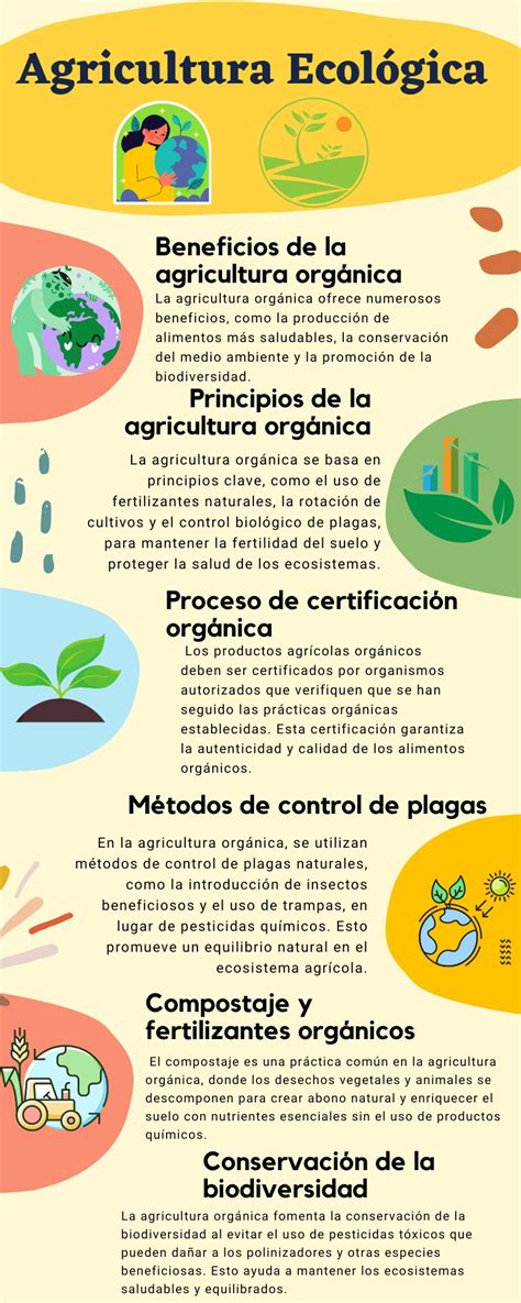 La Agricultura Ecol Gica Org Nica Un Enfoque Sostenible Para La