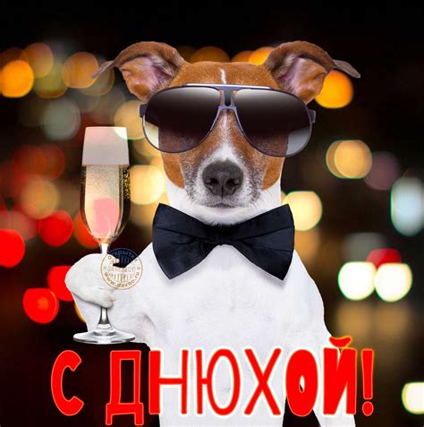 Прикольная открытка 'С днюхой!' с собакой-мажором — Скачайте на Davno.ru