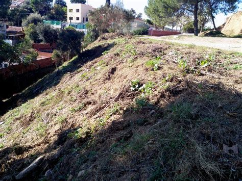 Treballs De Manteniment A Les Franges De Protecci Forestal