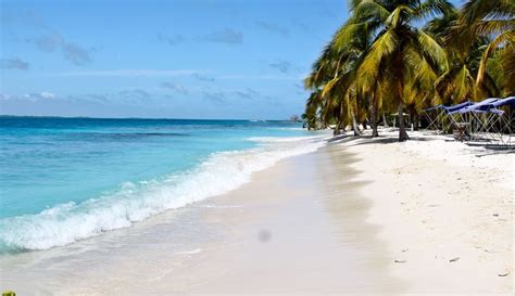 50 Best beaches in Venezuela - Ultimate guide (January 2025)