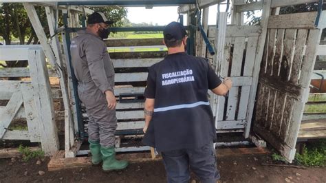 Megaopera O Apreende Toneladas De Produtos E Insumos Agropecu Rios