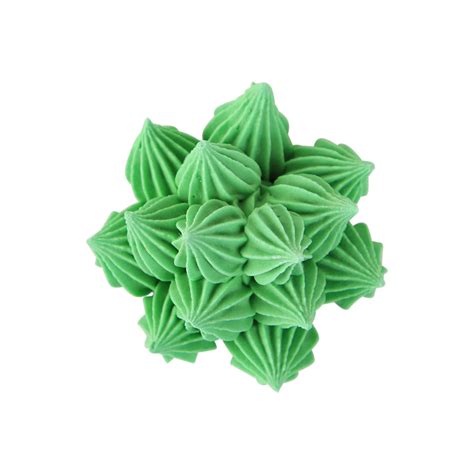 Extra Large 3d Succulent Set Royal Icing Decorations Bulk — Caljavaonline