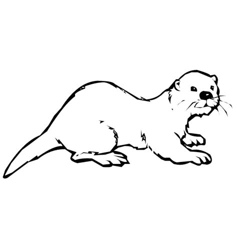 sea otter coloring pages Coloring Pages To Print, Animal Coloring Pages ...