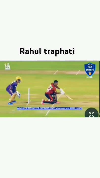 Cricket Ipl Ipl2024 Cricketlover Shortvideo Shortsfeed Shorts