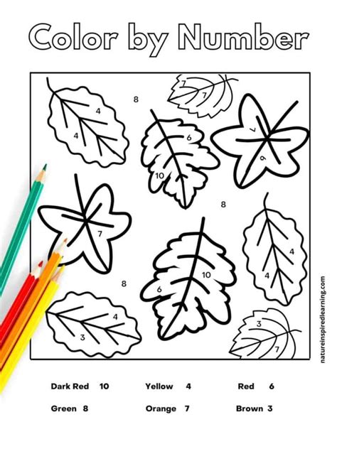 Fall Color By Number Nature Inspired Learning