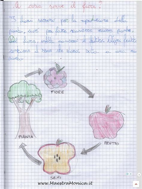 Pin Di Lilly Su Scienze Classe Scienza Per Bambini Libri Di