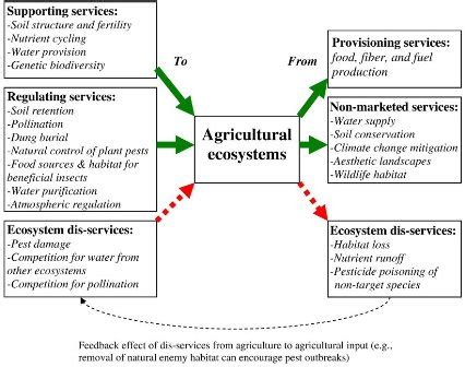 Aesthetic Economic Value Examples