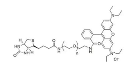 Rhodamine B Peg Biotin Rb Peg Biotin Udp Mof