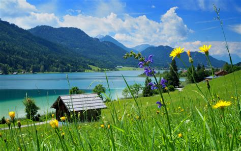 Sommer am See Foto & Bild | urlaub, sommer, outdoor Bilder auf