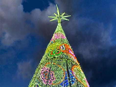 Debat sobre l arbre de Nadal de la Plaça i el nou enllumenat dels