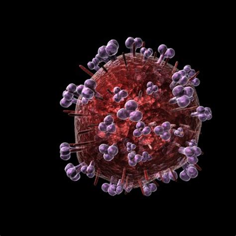 3d model virus hiv 